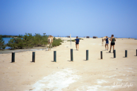 around-south-camp-12-1