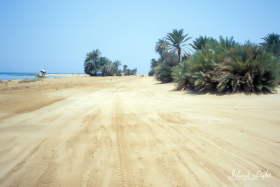 around-south-camp-16