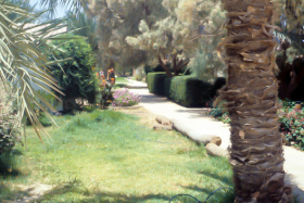 around-south-camp-22