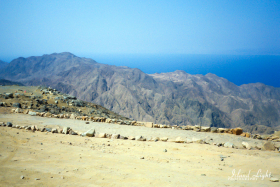 Around Sharm el Sheikh MFO South Camp