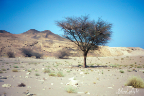 Around Sharm el Sheikh MFO South Camp