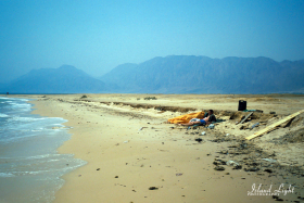 MFO SCC5 Nuweiba